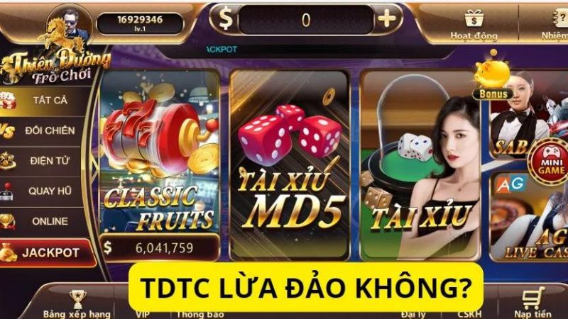 TDTC-lua-dao-khong