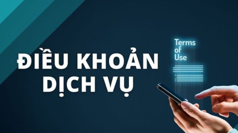 chinh-sach-va-dieu-khoan-dich-vu-tdtc (2)